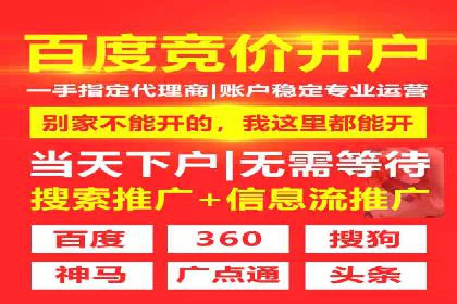 抖音信息流代理服务在旅游行业的应用实例